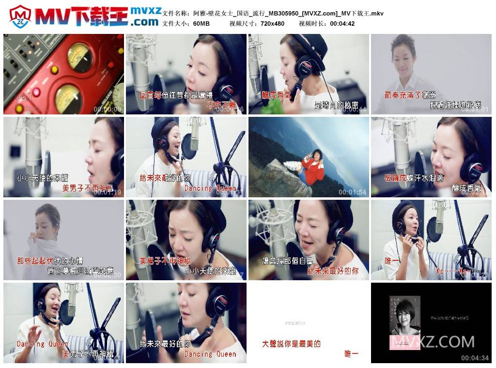 阿雅-壁花女士_国语_流行_MB305950